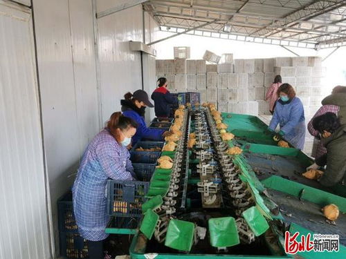 涿州市市場(chǎng)監(jiān)管局為企排憂解難題