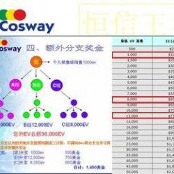 太陽線直銷軟件專業(yè)定制開發(fā)全解析 從廠家選擇到價(jià)格評估