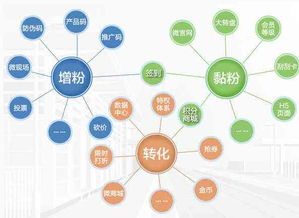 淘寶托管店鋪如何以產(chǎn)品差異化驅(qū)動軟件開發(fā)與銷售增長